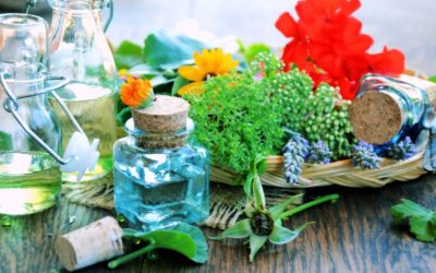 Conservantes naturales para cosméticos